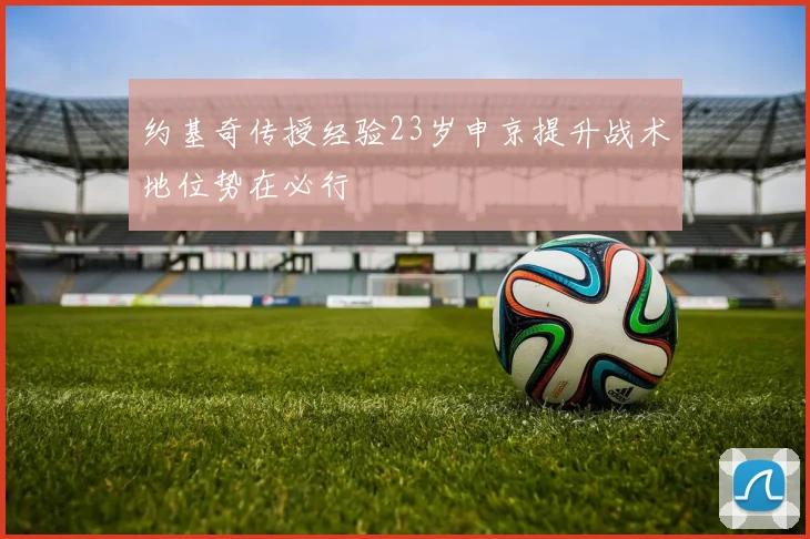 约基奇传授经验23岁申京提升战术地位势在必行