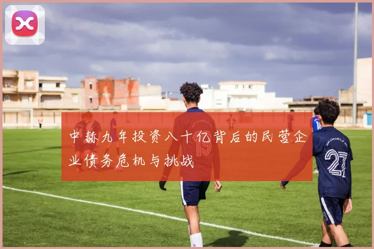 中赫九年投资八十亿背后的民营企业债务危机与挑战