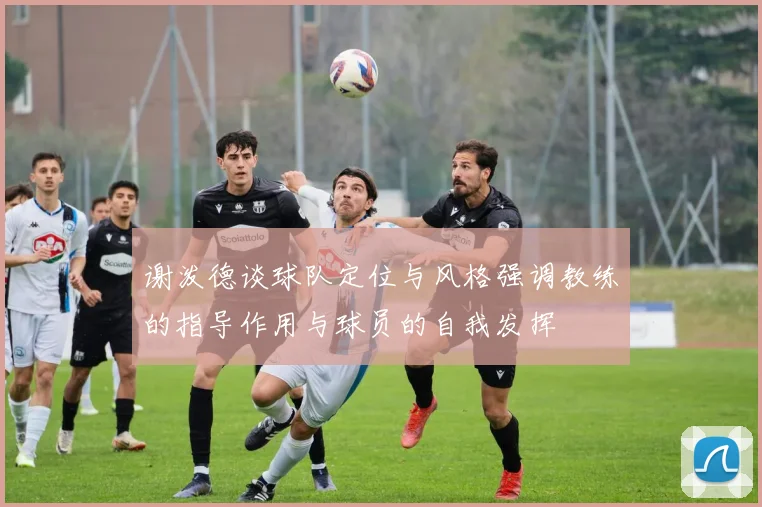 谢泼德谈球队定位与风格强调教练的指导作用与球员的自我发挥
