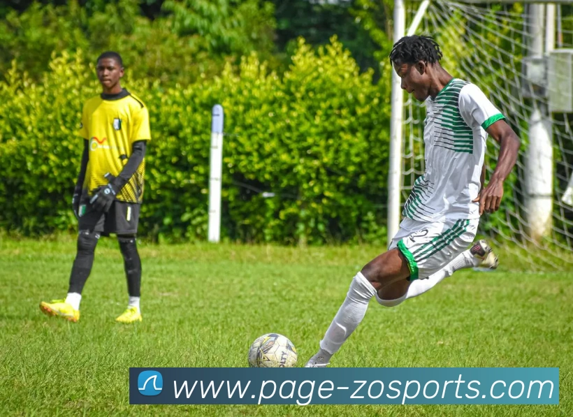 中欧体育平台生态图